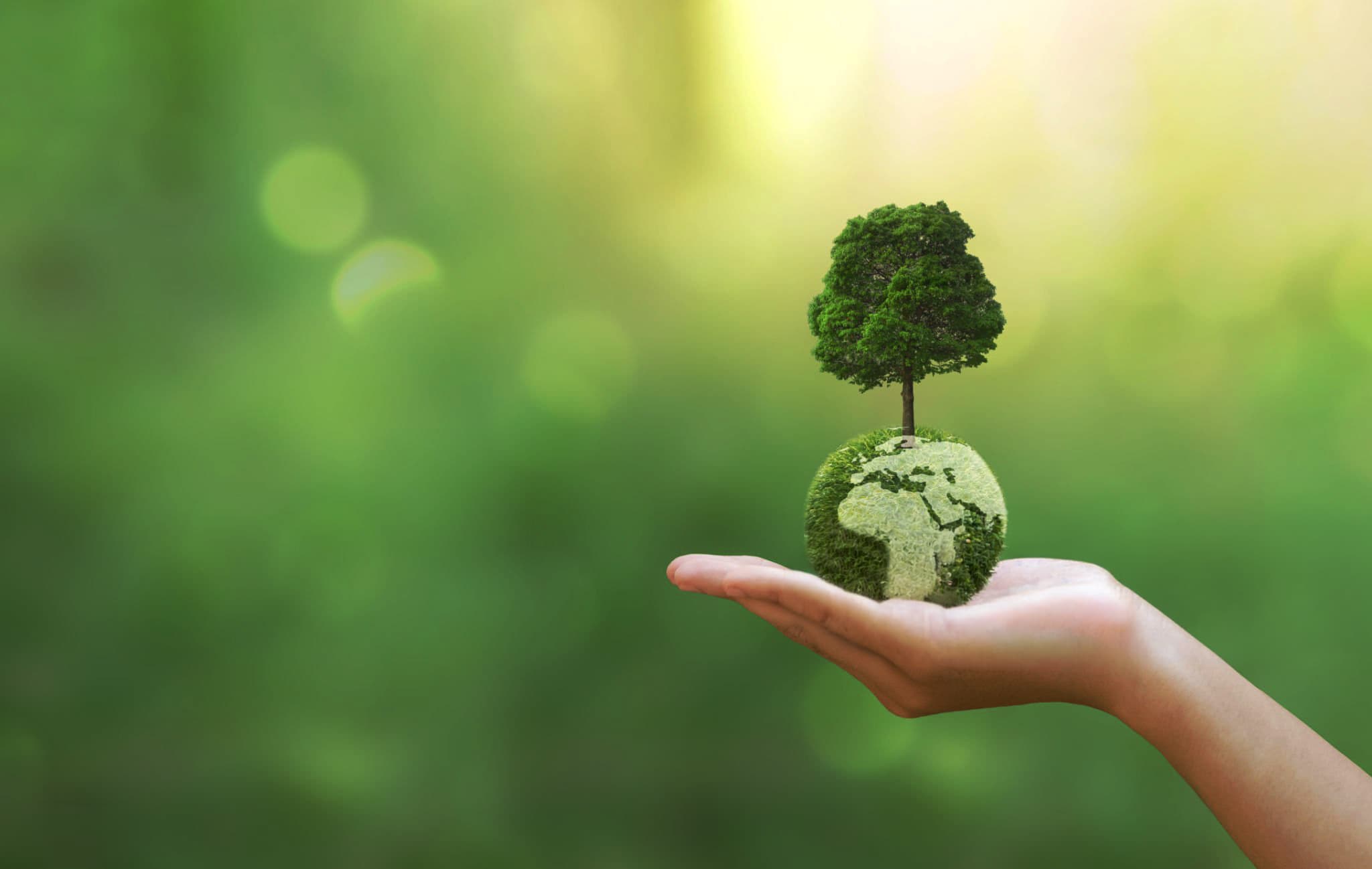 Environment